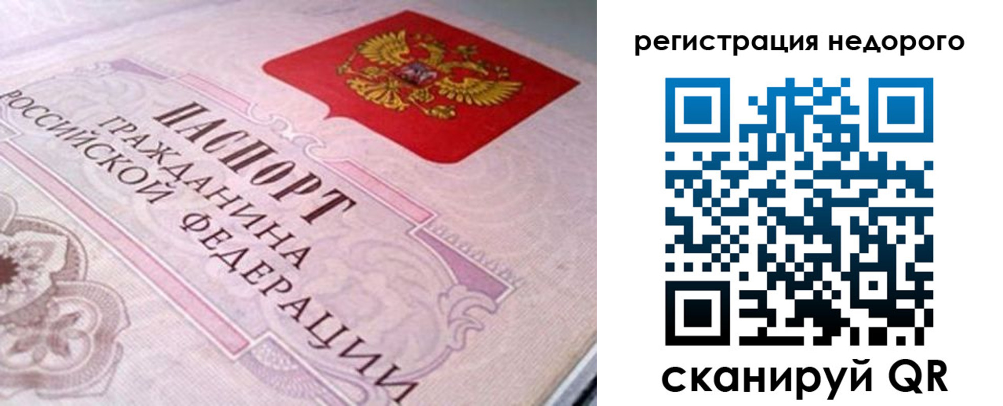 регистрация для дет. сада в Александрове